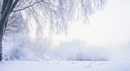 Winter beautiful landscape with heavy frost and fog.
