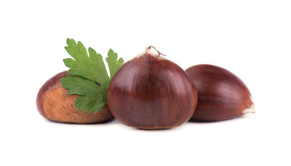 Fresh chestnuts with leaf of parsley isolated on white background. Hippocastanum isolated. Isolated chestnut set with clipping path. Macro