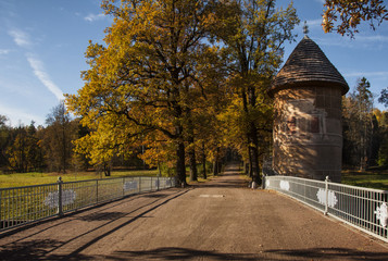 The landscape Park in Pavlovsk. The cold dawn.