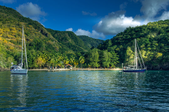 Anse noire, Martinique : Voilier ancr&eacute; dans la baie
