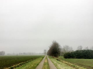 Fototapeta na wymiar Country road in autumn with grey fog sky in a rural area