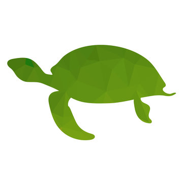 Ocean Green Turtle Icon