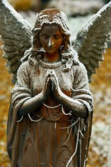 Snowy Angel