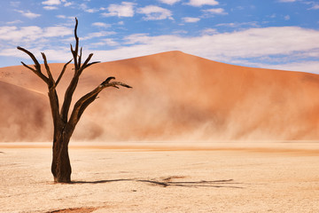 Namibian desert landscape
