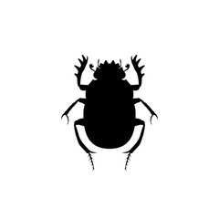 Graphic illustration of stencil Scarab