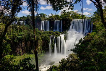 Iguazu Waterfalls Jungle Argentina Brazil