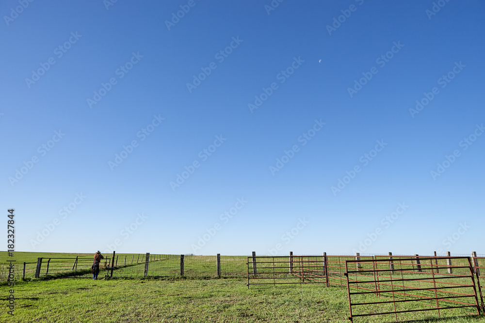 Wall mural green field surrounded by plain wooden fence