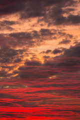 dramatic bloody red sunset with illuminated cirrus clouds