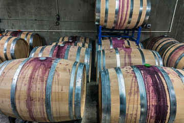Wine Barrels in Cellar