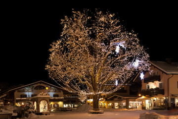 Baum schneebedeckt mit Lichterkette geschmückt im Winter zur Adventszeit