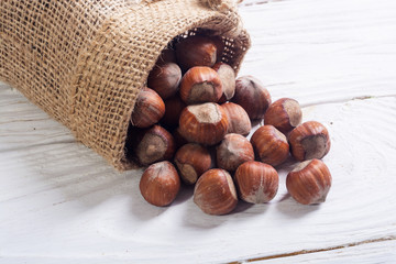 Hazelnut nuts in burlap bag