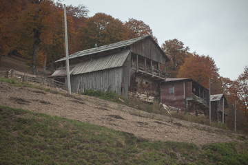 Obraz premium old wooden houses in a mountain, Georgian village, poor people