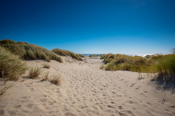 Footsteps Cover Sandy Dunes