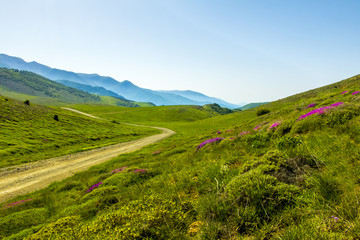 Fototapeta premium Valley