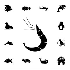 shrimp icon. Set of cute aquatic animal icons. Web Icons Premium quality graphic design. Signs, outline symbols collection, simple icons for websites, web design, mobile app