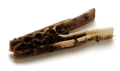 Þvottaklemma Prendedor Molletta da spinka bucato Clothespin Լվացքասեղմակ  Clothes peg Żabka Прищепка Prendedor de roupas Pyykkipoika Klädnypa 빨래집게 Wäscheklammer مشبك ملابس Pince à linge אטב כביסה