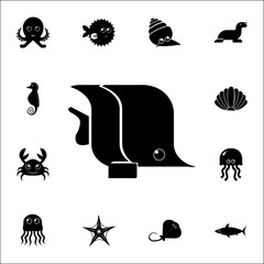 moorish idol icon. Set of cute aquatic animal icons. Web Icons Premium quality graphic design. Signs, outline symbols collection, simple icons for websites, web design, mobile app