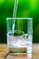 A glass of water on green background
