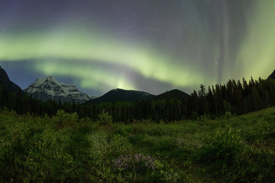 Mount Robson