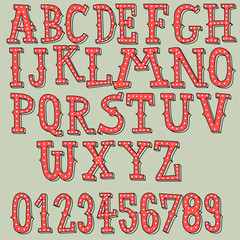 hand drawn vintage alphabet set