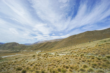 grass on Lindis Pass area in New Zealand with cloudy blue sky in Spring