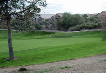 Golf course green
