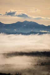 Layers of foggy trees and mountains during Winter in Utah