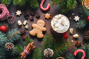 Hot chocolate with marshmallows, gingerbread cookies, spices and candy cane. Christmas sweets. Winter holidays food