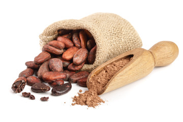 Cocoa beans in bag with cocoa powder in scoop isolated on white background