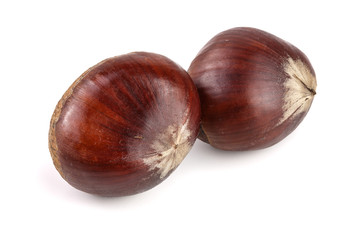fresh edible chestnut isolated on white background