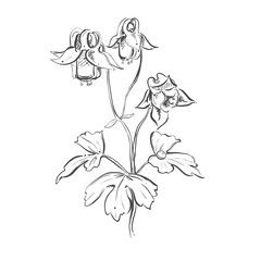 black and white floral ornament with flowers and leaves. Hand drawn ornament. Vector eps 8