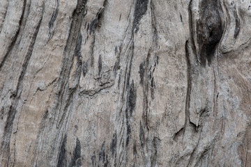 Closeup image of wood texture and detail