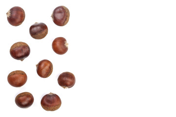 chestnut isolated on white background with copy space for your text. Top view. Flat lay