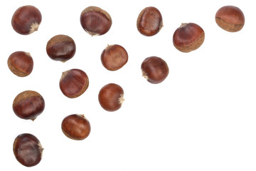 chestnut isolated on white background with copy space for your text. Top view. Flat lay