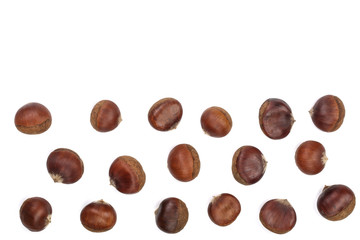 chestnut isolated on white background with copy space for your text. Top view. Flat lay