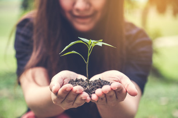 Closeup image of woman's hands holding soil and small tree to glow with green background