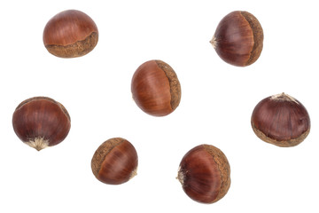 chestnut isolated on white background. Top view. Flat lay