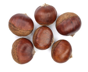 chestnut isolated on white background. Top view. Flat lay