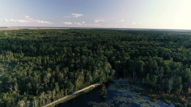 Aerial Drone Hidden Lake in Endless Forest