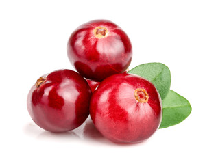 Cranberry with leaf isolated on white background closeup macro