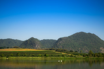 The mountain near lake.