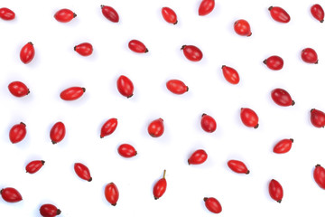 rosehip berries isolated on white background. Flat lay pattern. Top view