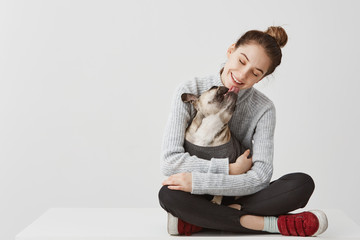 Obraz na płótnie Canvas Content brunette lady in casual clothes sitting on table holding dog in hands. Female startup designer hugging pedigree dog while it licking her chin. Joy concept, copy space