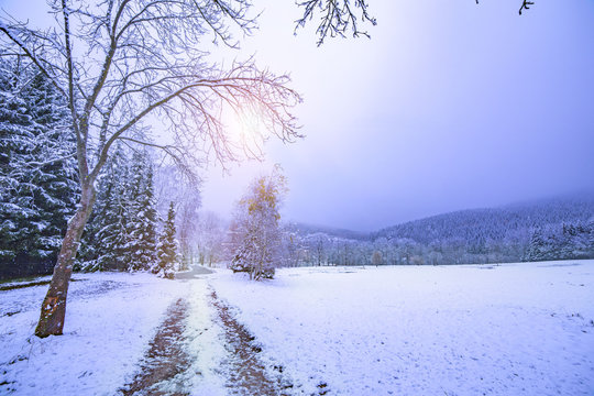 Winterbeginn