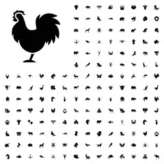 Chicken icon illustration. animals icon set for web and mobile.