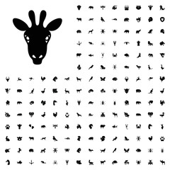 Giraffe icon illustration. animals icon set for web and mobile.