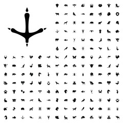 Footprint of  icobird icon illustration. animals icon set for web and mobile.