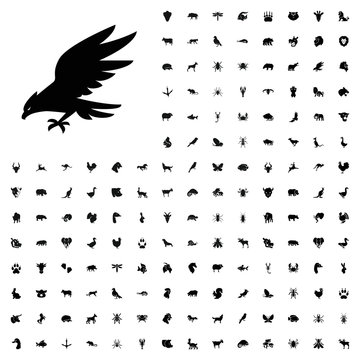 Eagle icon illustration. animals icon set for web and mobile.