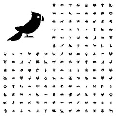 Parrot icon illustration. animals icon set for web and mobile.