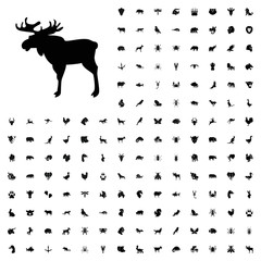 Moose icon illustration. animals icon set for web and mobile.
